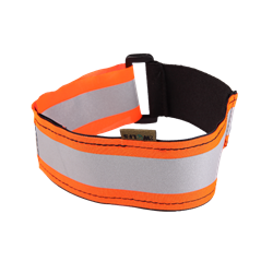 Picture of Collar – orange band