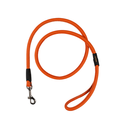 Picture of Leash COMFORT 120